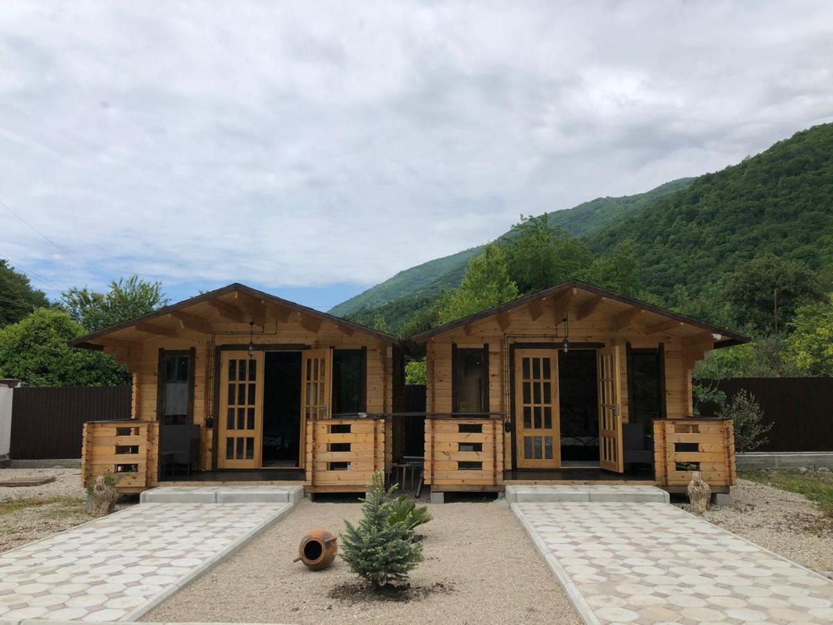 Villa Olginka Gagra Exterior foto