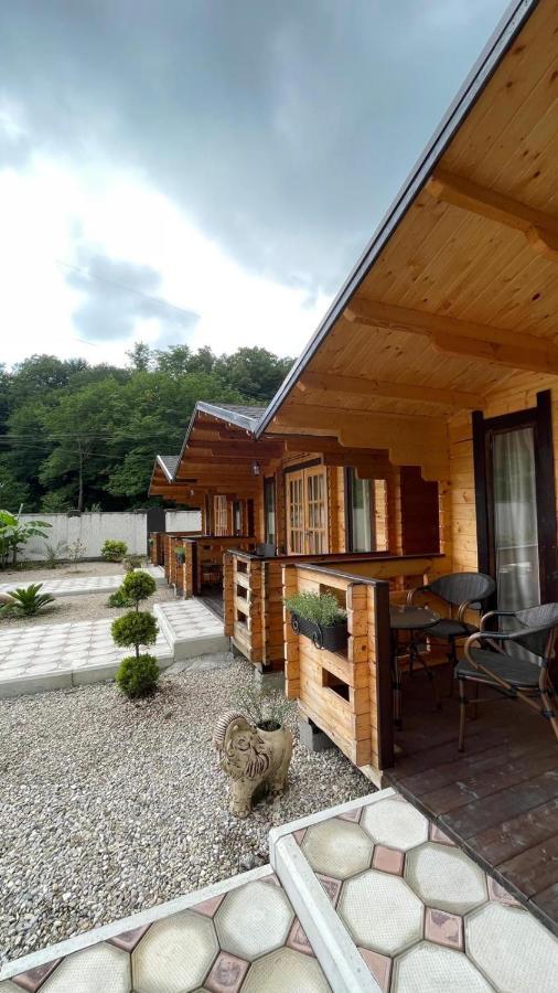 Villa Olginka Gagra Exterior foto